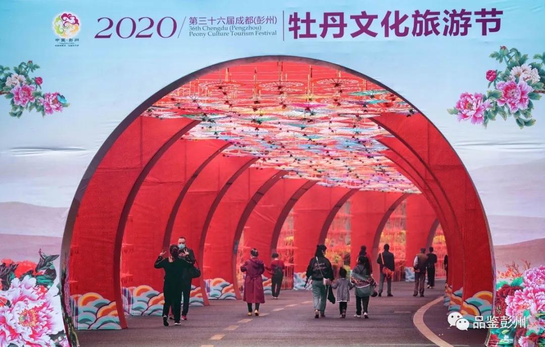 牡丹花开惹人醉鸟语花香,牡丹花开国色天香惹人醉