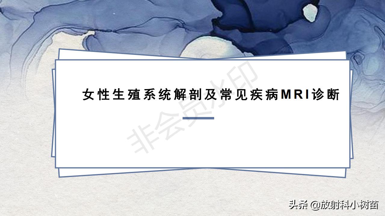 女性盆腔mri解剖图谱,泌尿生殖系统x线解剖