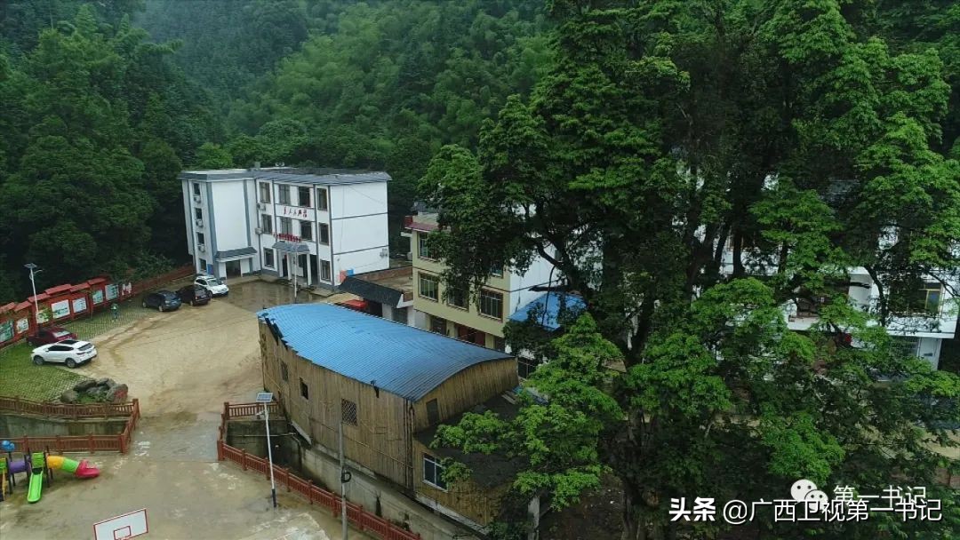 璐靛窞闈犲北鍚冨北鏈夋柊鍚冩硶,骞胯タ璐哄窞灞遍噷楗