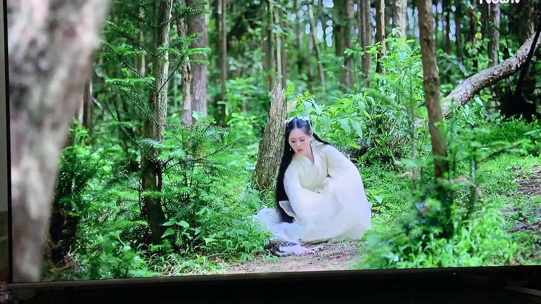 盘点猫咪高能名场面 (猫咪10大最萌镜头)