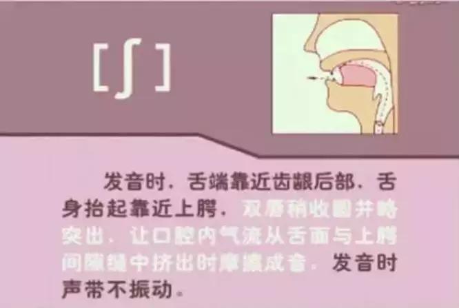 48个国际音标发音清晰口型示范,48个国际英语音标发音表及口型