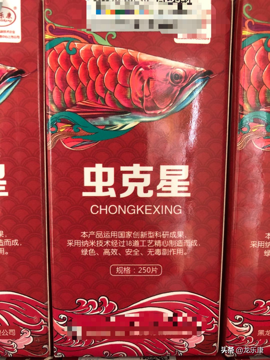 龙鱼温差引起的疾病,龙鱼鳃部疾病都有哪些