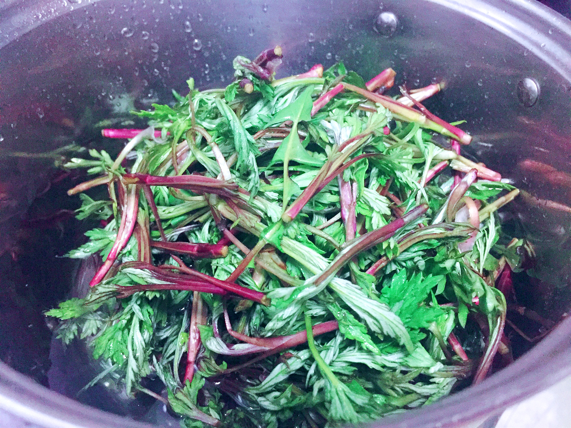 柳蒿芽凉拌做法,柳蒿芽的做法和功效