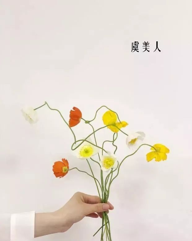 鲜花店常见花材品种大全,花店里同款的两种不同价格的花材