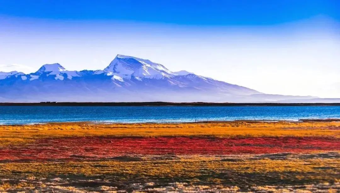 1011月错过它们,等于错过整个秋天!人少清净,随手一拍都是大片