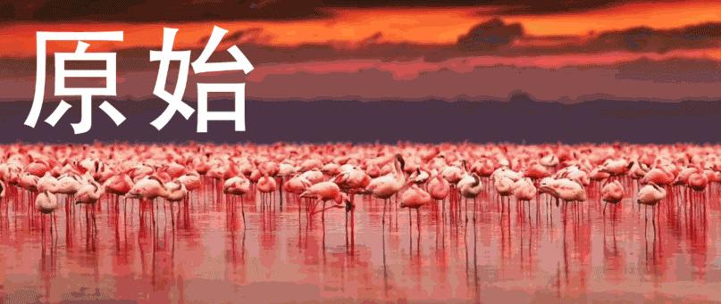 非洲科普|为什么说种族不存在?我们与非洲人真的有区别吗?