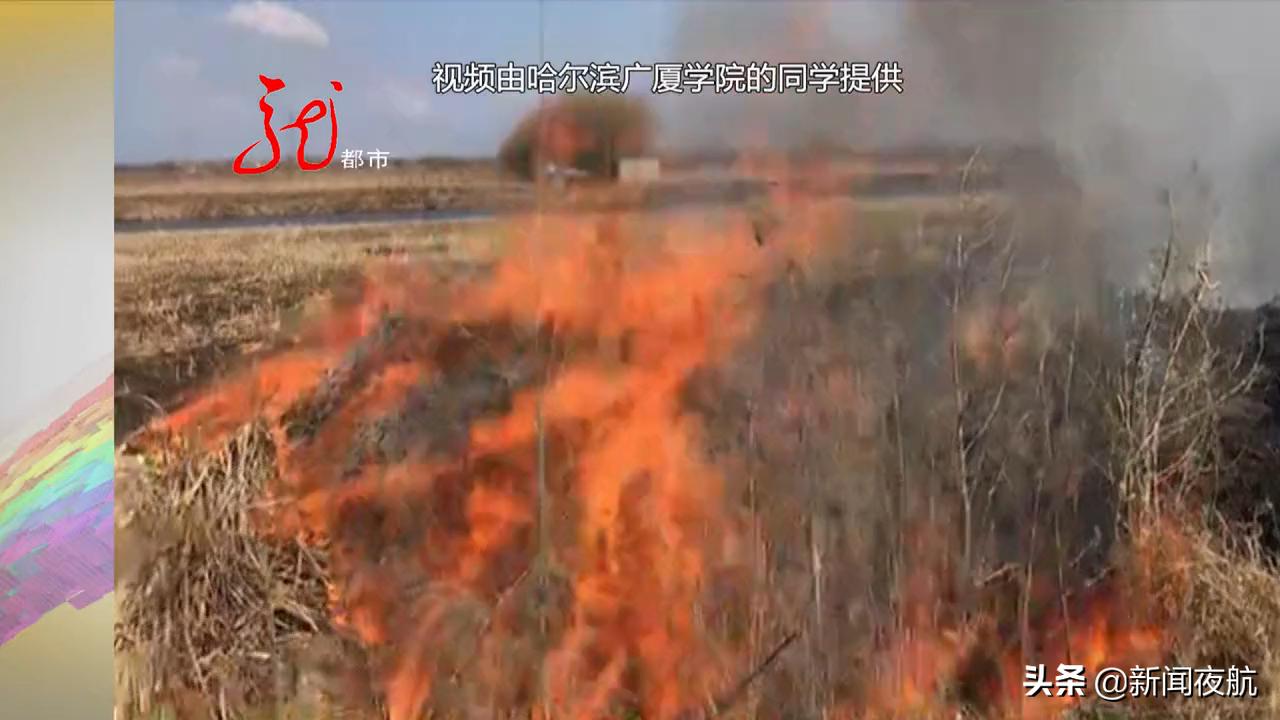 哈尔滨广厦学院民兵连拉练途中遇火灾,春季蔓延迅速勿让悲剧重演