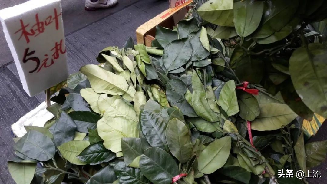 柚子叶洗澡是哪里的传统,柚子叶洗澡真的能转运么