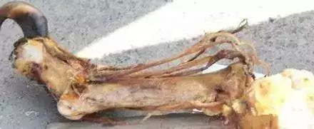 逛古玩市场有什么好玩的,逛古玩市场要注意有什么套路