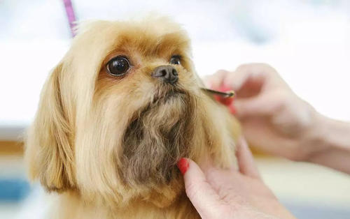 适合小投资不用自己做的项目,适合一个人开店的小投资项目