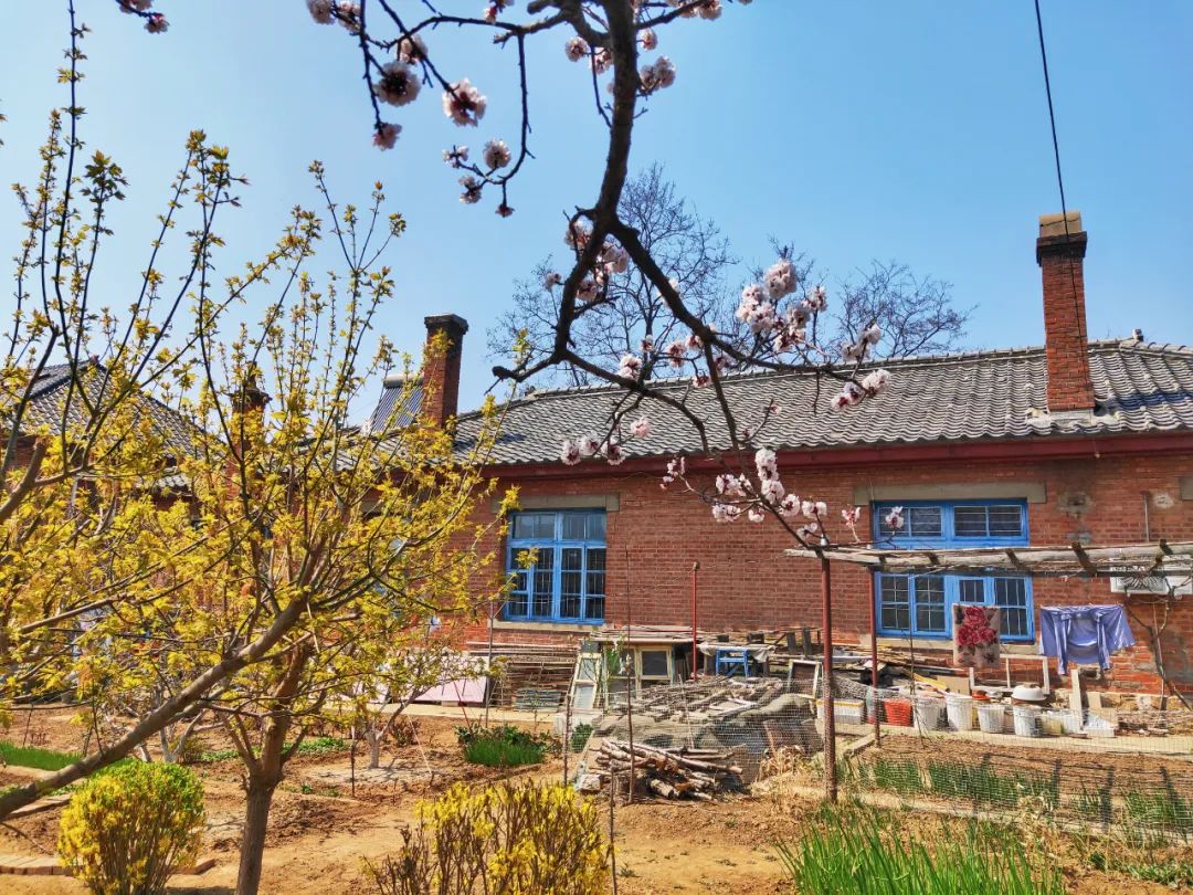 2022春节大连本命年免费景点,大连免费景点排行榜前十名