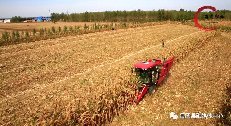 规划引领乡村振兴产业项目,支柱产业带动乡村振兴方案