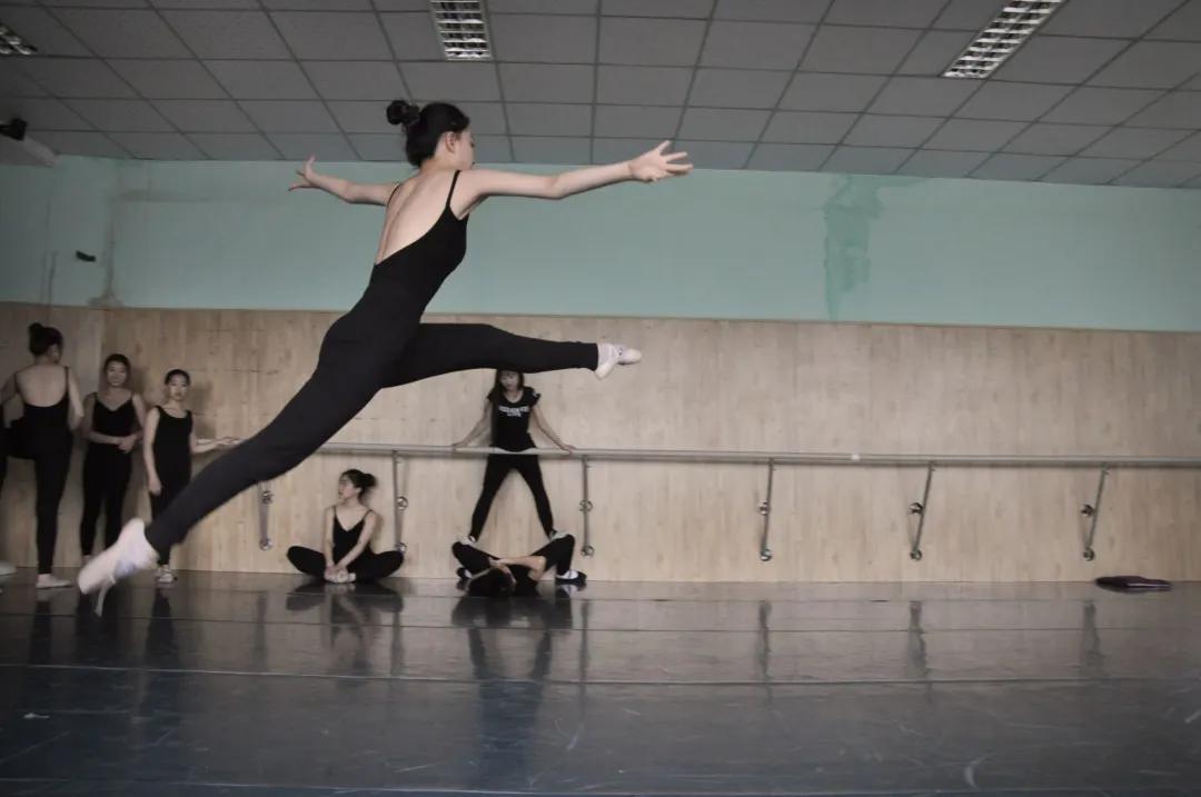 艺术类选择什么专业比较好,艺术哪个专业好学且就业较好