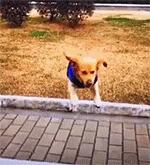 学会这招不愁找不到女朋友,学会这几招不怕找不到女朋友