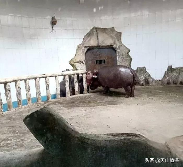 乌鲁木齐90后的南门回忆,乌鲁木齐人民公园记忆