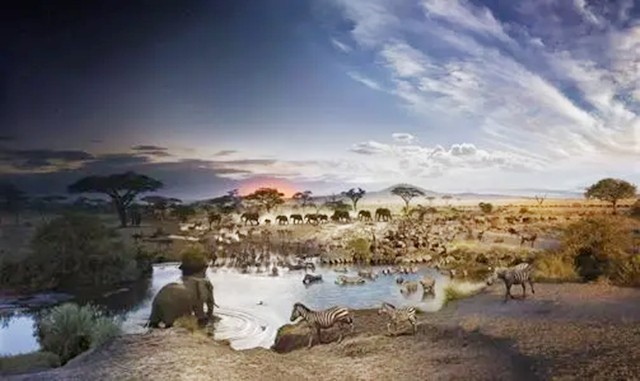 朝鲜和韩国gdp差别怎么那么大,朝鲜和蒙古gdp