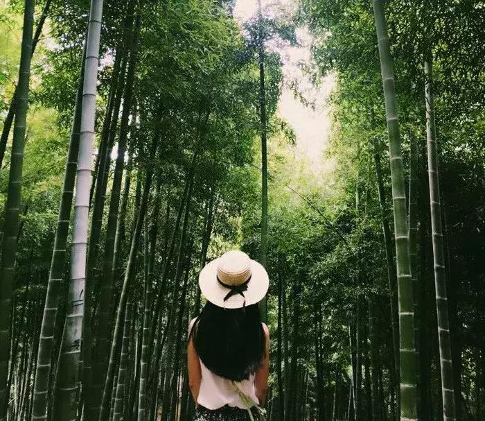 8分钟直抵江南唯一滑雪场，还有温泉，来这家高山云雪民宿充电打卡