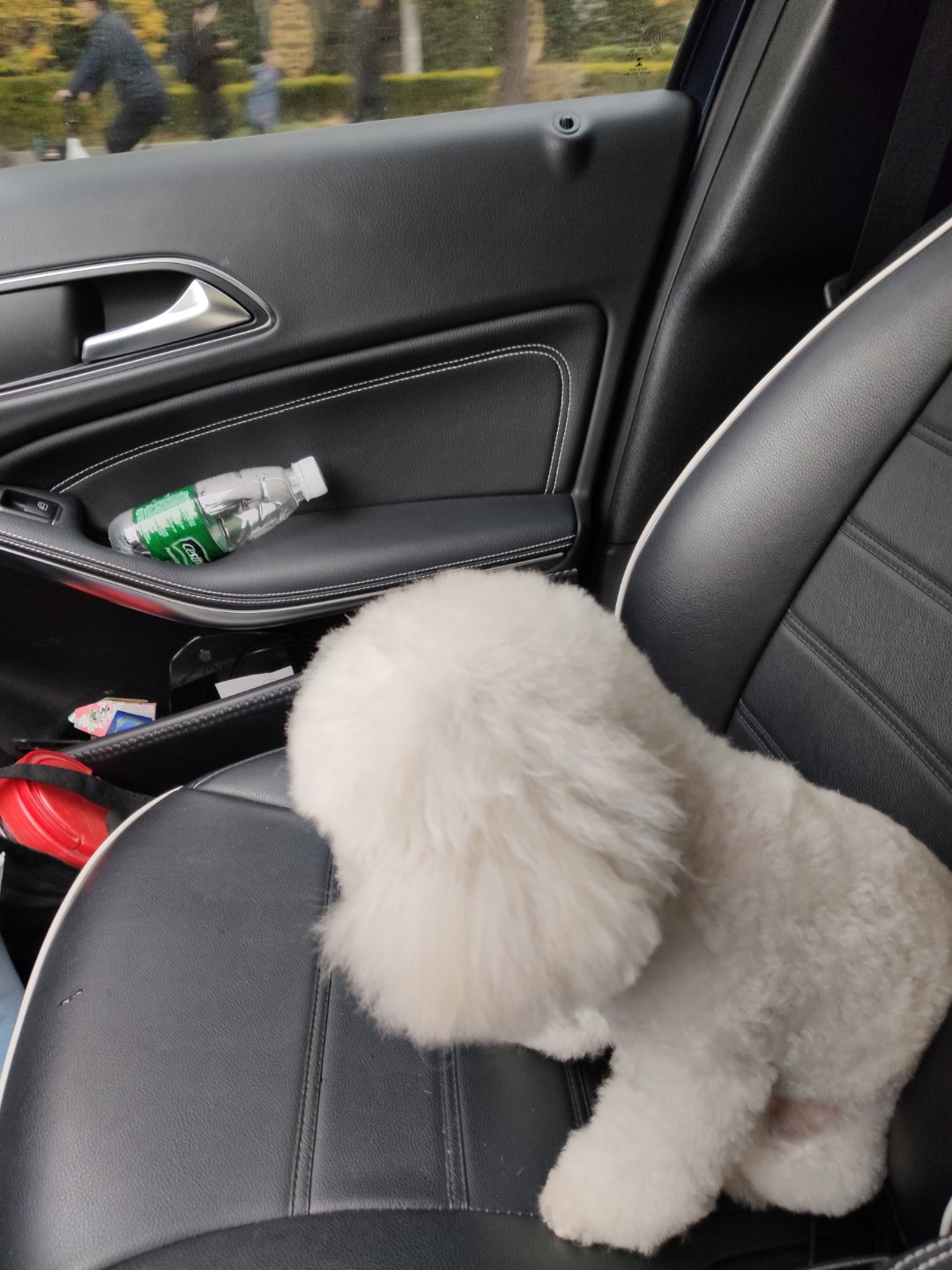 小顽智能宠物饮水机怎么使用,小顽智能宠物饮水机测评