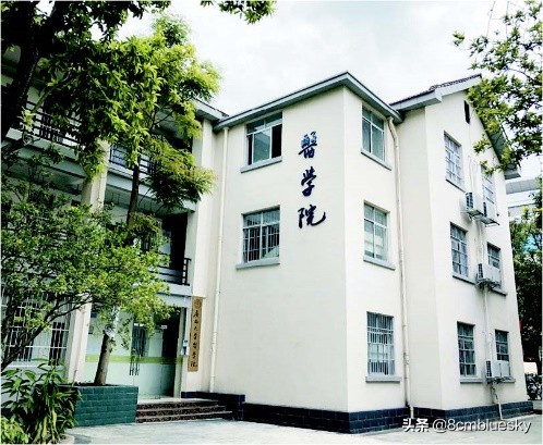 学医不代表什么都懂,学医不从医好吗