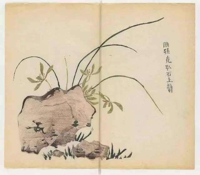 毛笔怎么画兰草,怎么画兰花和书法