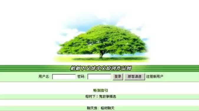 第一批网民,最早一批网民