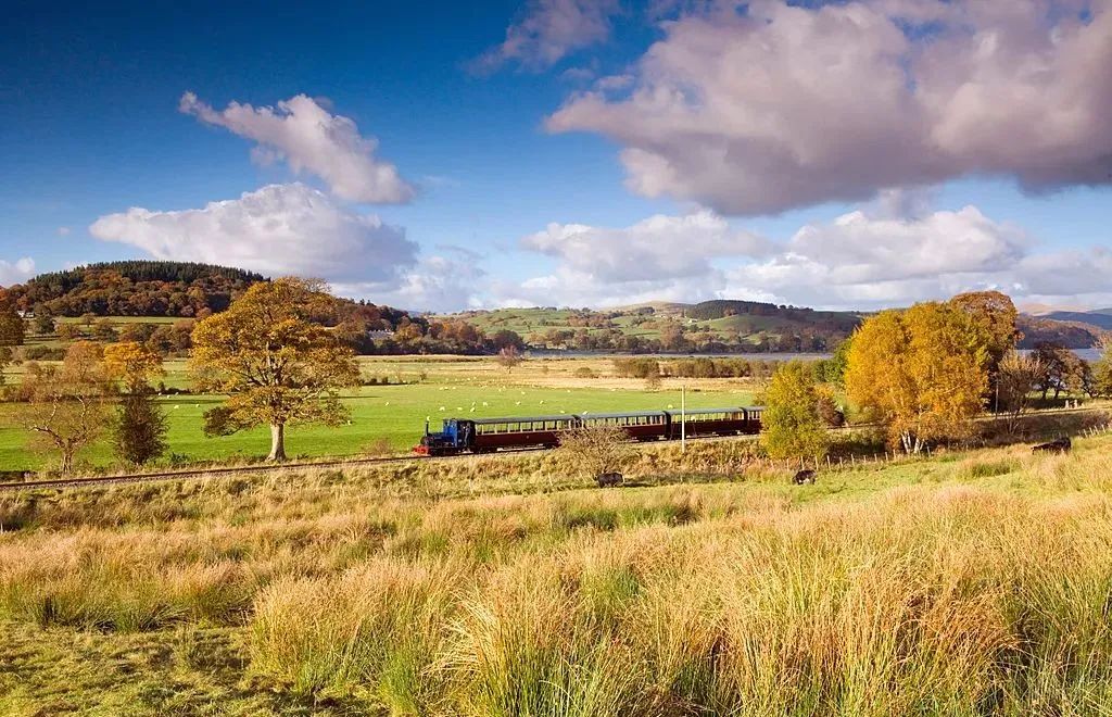 又a又飒的品牌,又a又飒的歌曲英文