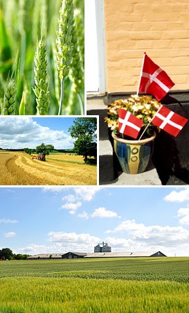 丹麦女王参加典礼,丹麦女王25周年