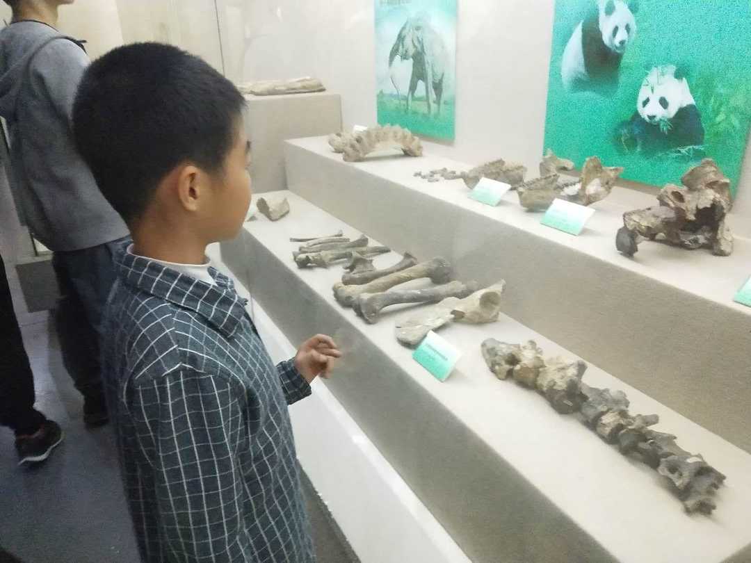 情知不久须相见，一日甚三秋，愁来不自由。‖马坝人遗址公园