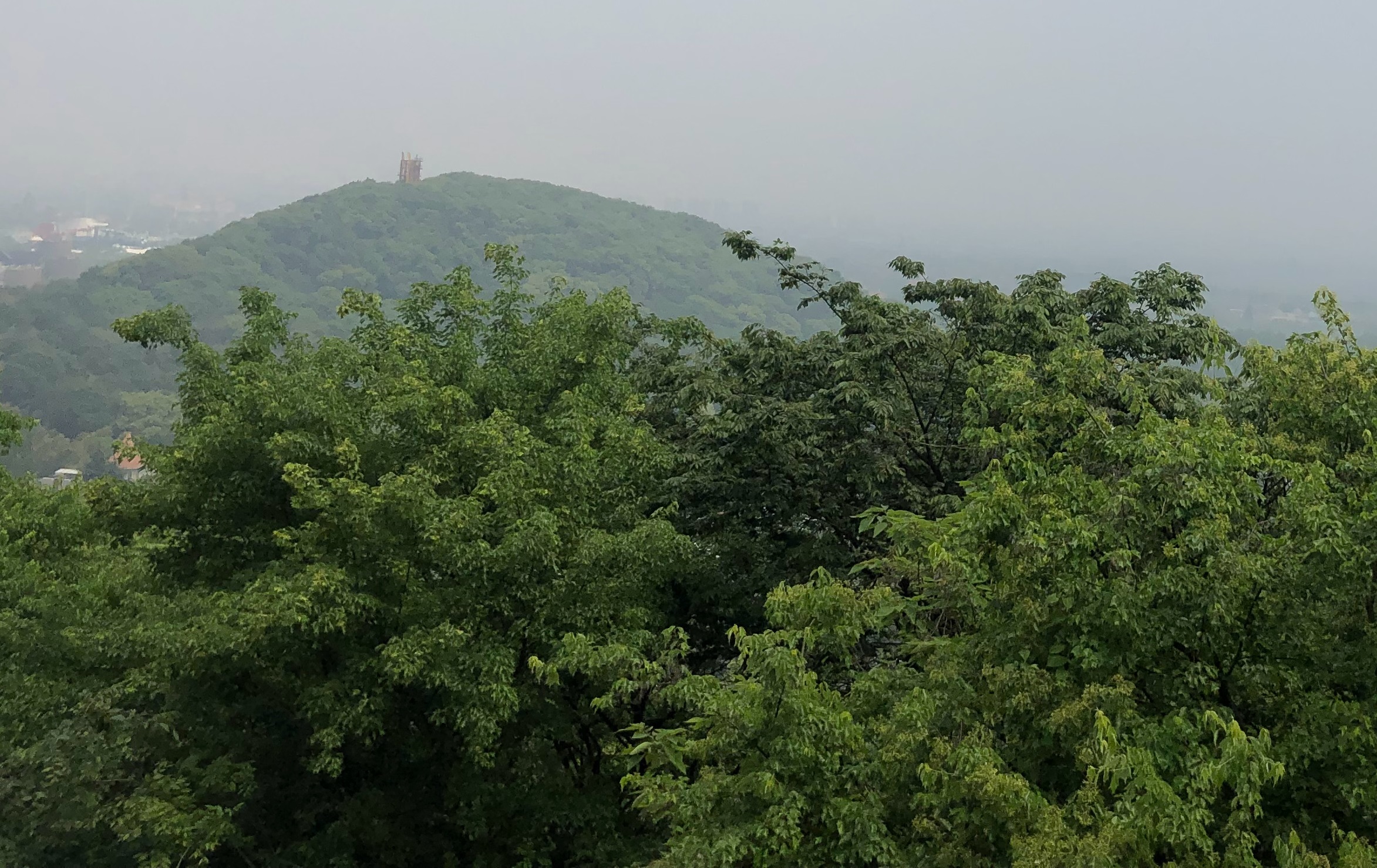 上海佘山国家森林公园顶峰风景,上海佘山最高点