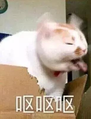 素颜霜测评红黑榜泰国,泰国购物必买眼影盘