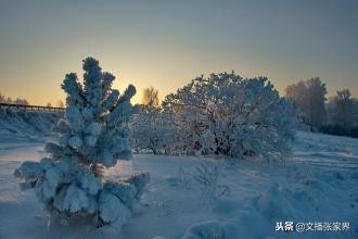 西西伯利亚的风,西伯利亚风是什么风