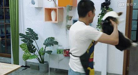 王彦霖不愧是游戏之王,王彦霖怎么火起来的