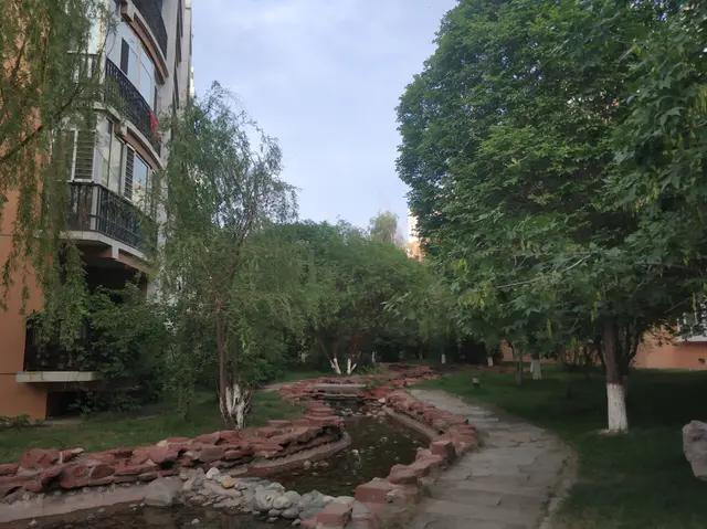 绿地城二期绿化乌鲁木齐,乌鲁木齐中海万锦公馆绿化环境