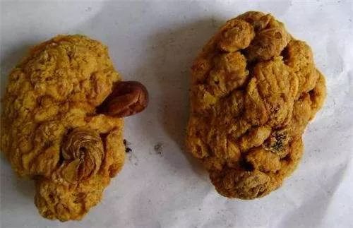 胎盘有人吃吗,胎盘吃了对身体有益吗