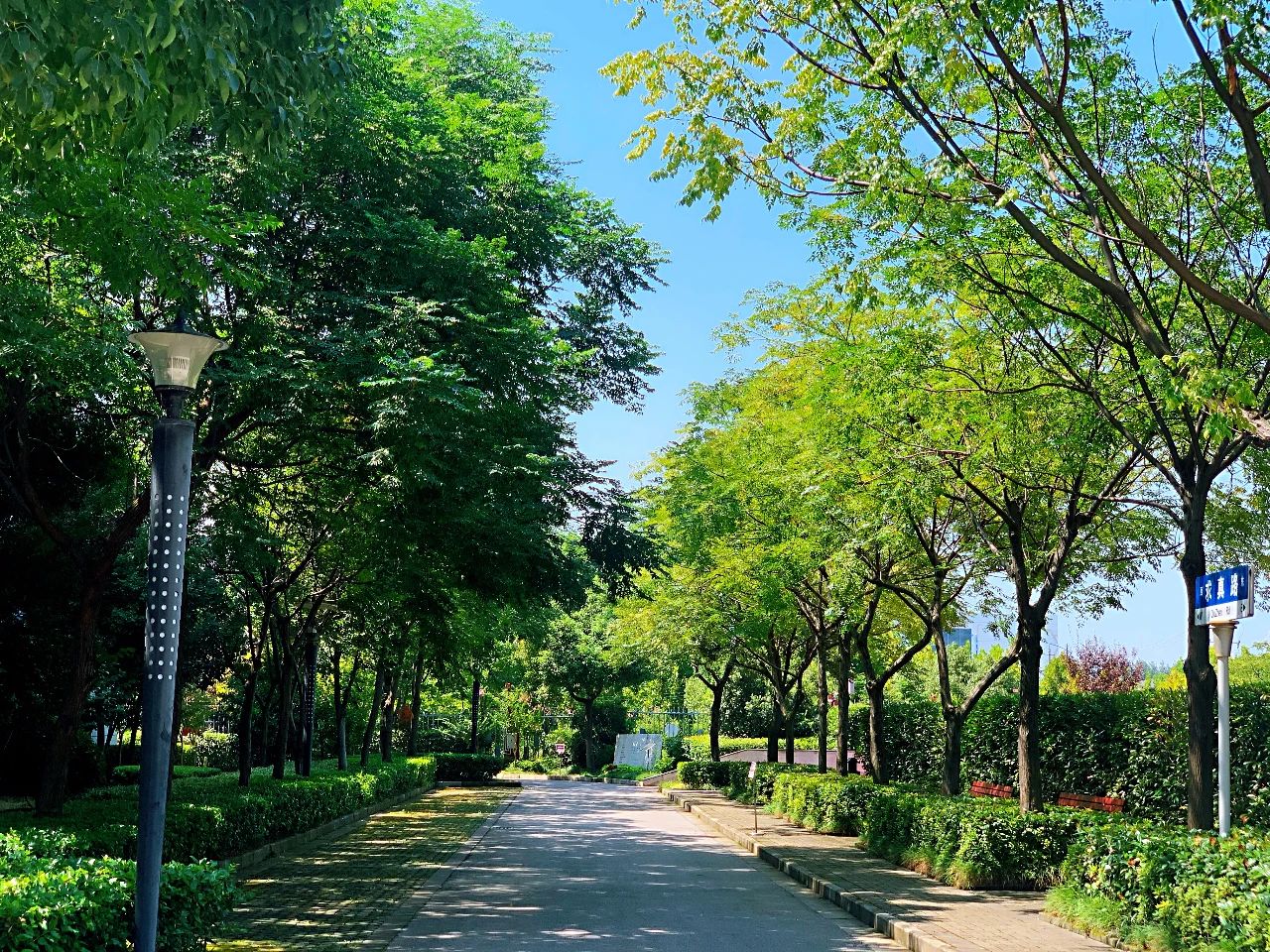 金中岱山教育集团,金中岱山东校区