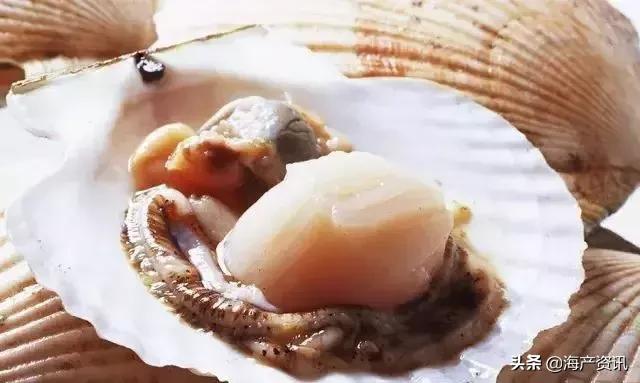 市场上最常见的十种淡水鱼,中国十大水产品排行榜