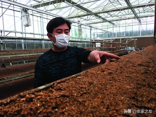 广西兴安：唐新全现代化种粮大户带领村民“就业”