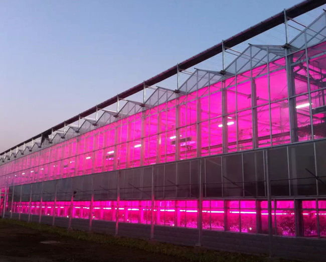 温室大棚设计规划建造,园区设计教程