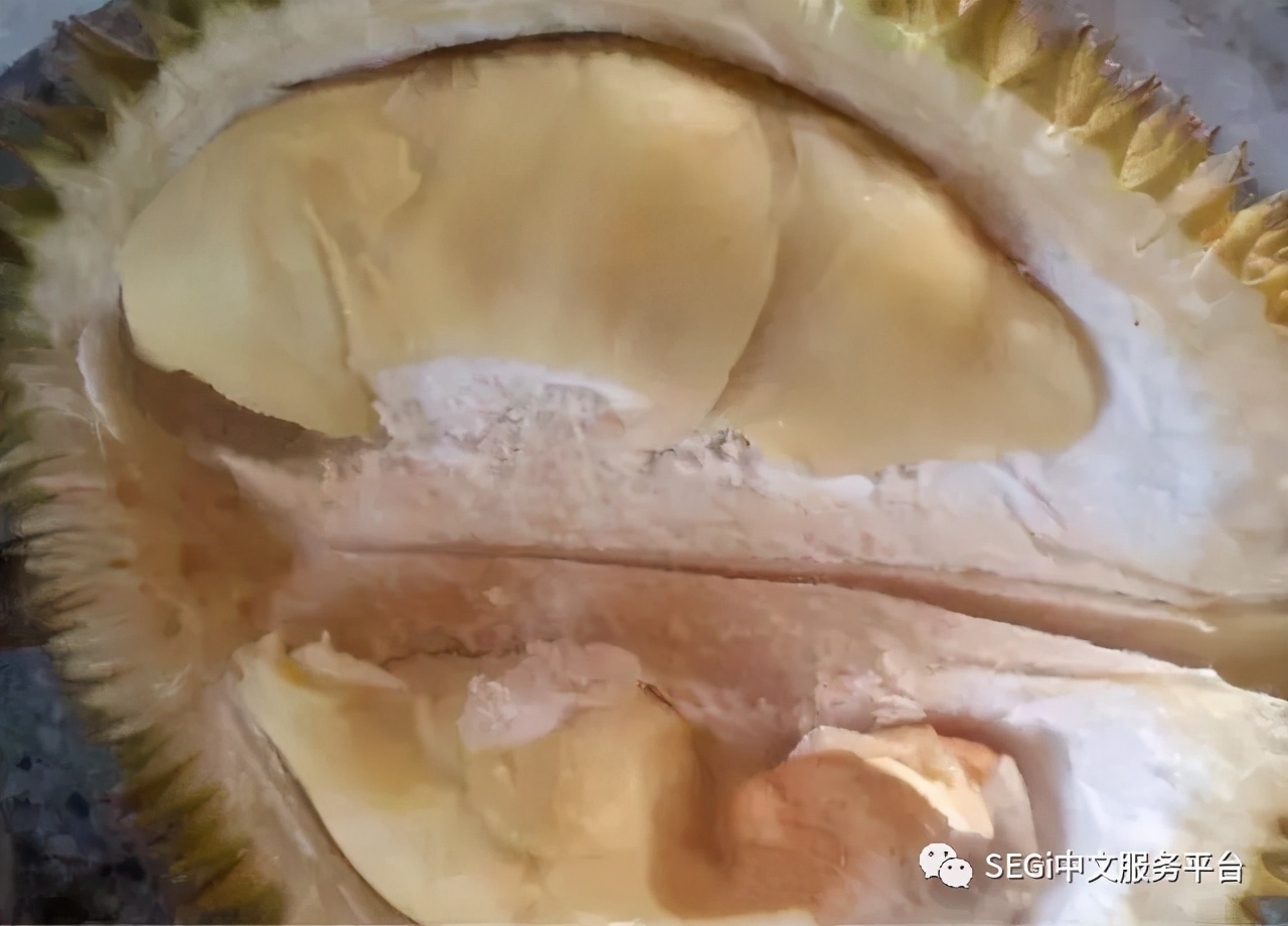 马来西亚的榴莲有啥品种,马来西亚榴莲有几种