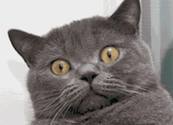 有多少妇女饱受妇科病的折磨,中国女性每年因妇科病死亡率多少