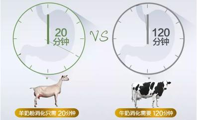 佳贝艾特羊奶粉备受青睐,羊奶粉为什么不如牛奶畅销
