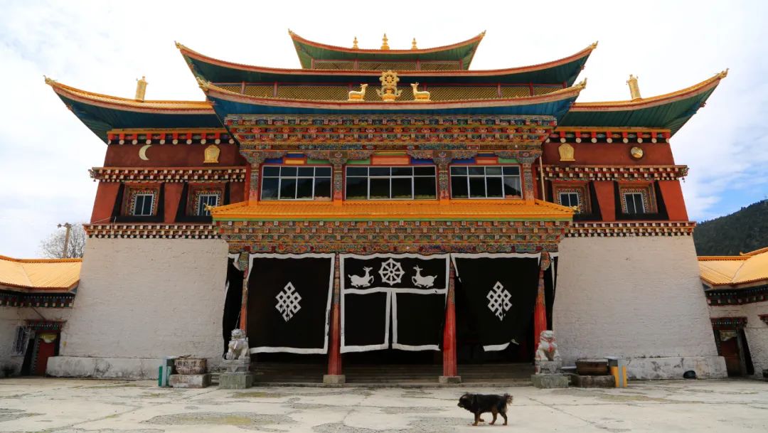 洛克徒步木里到稻城翻的是哪座山,秘境四川甘孜