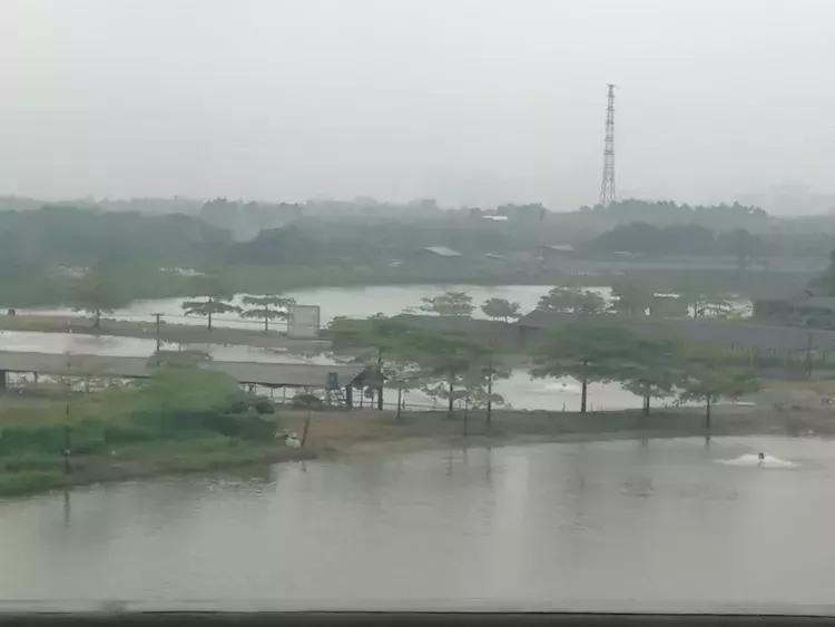 四会最大的翡翠批发市场,四会天光墟翡翠市场是真玉吗