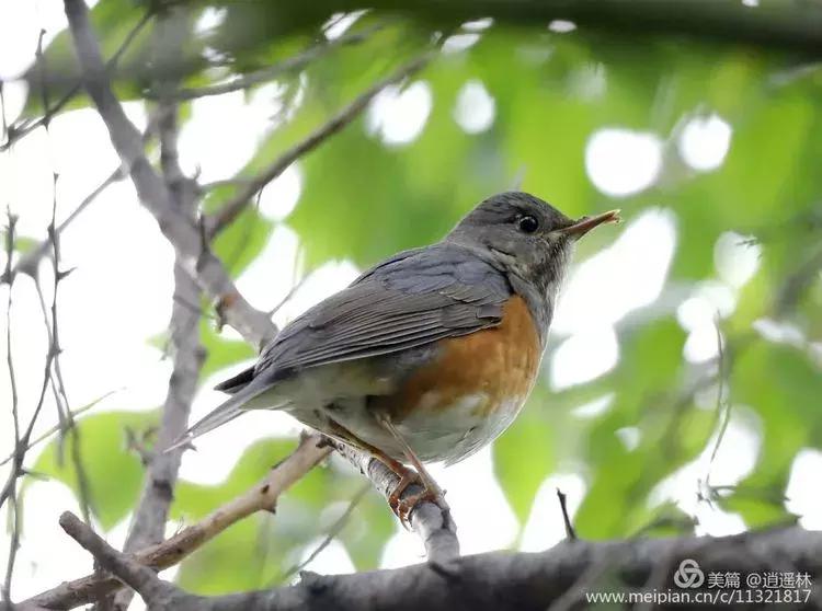天坛最近发生什么事,北京天坛现在的状况