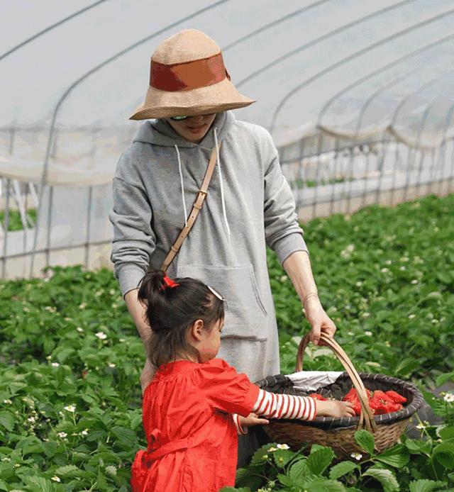 有一种帽子很像鸭舌帽,有什么新式样式帽子