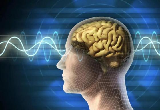 颂钵钵是什么,颂钵的神奇之处是什么