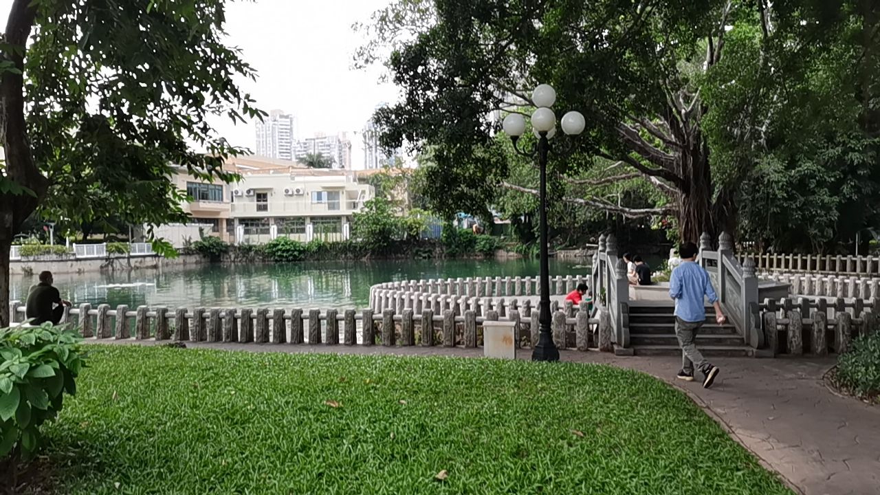 荔枝公园深圳,深圳第一公园荔枝公园