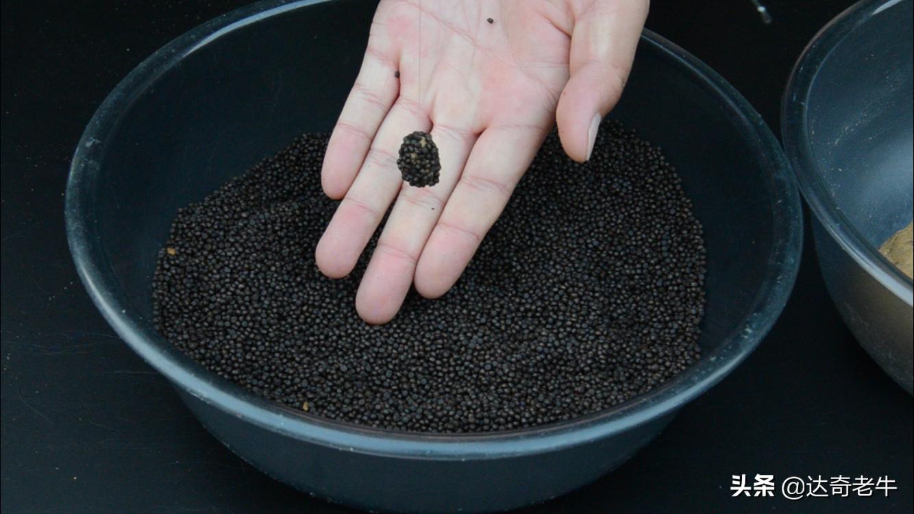 浮水颗粒喂鱼,怎么用浮水颗粒钓滑鱼