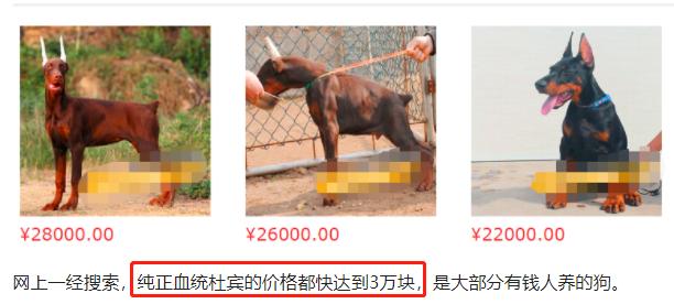 乐嘉真实的性格,乐嘉人生低谷完整视频