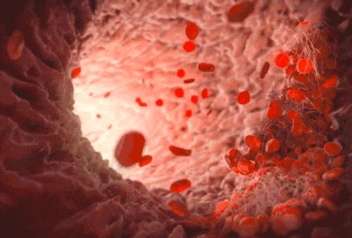 早睡早起排毒养颜,早睡身体排毒是不是能瘦